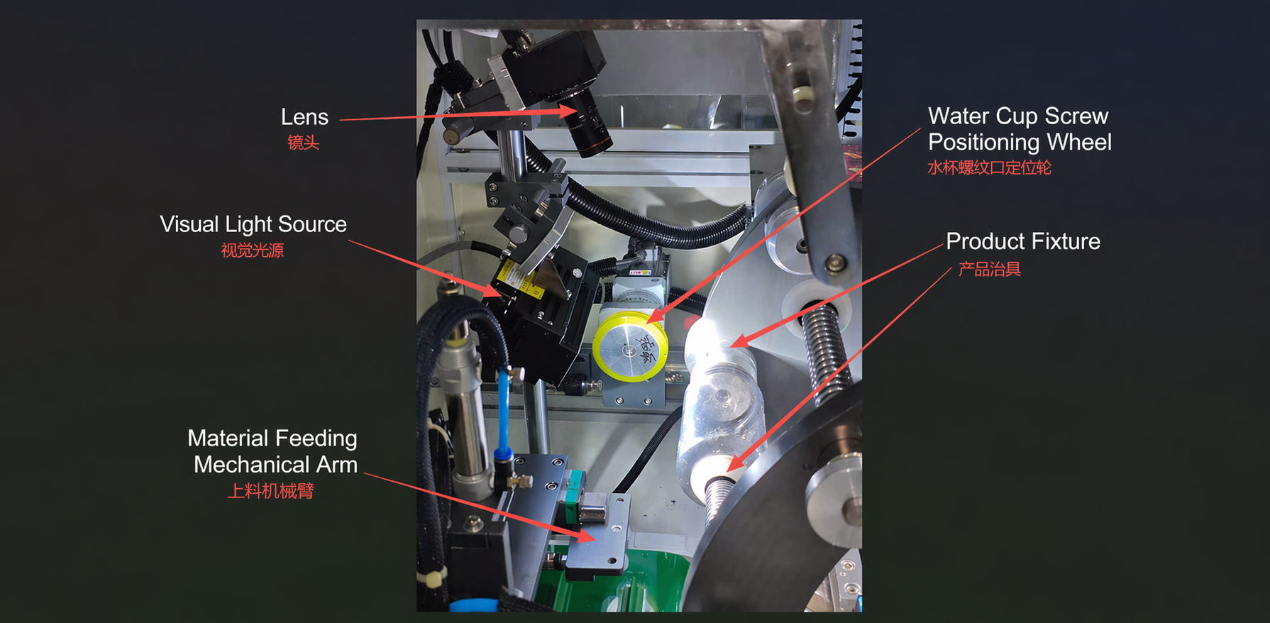CCD camera, light source and cup positioning mechanism